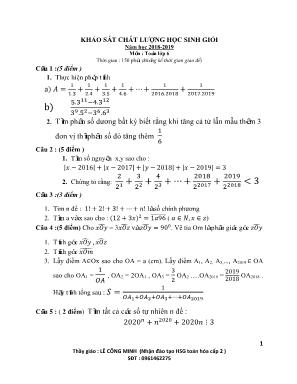 Khảo sát chất lượng học sinh giỏi môn Toán Lớp 6 - Năm học 2018-2019 (Có đáp án)